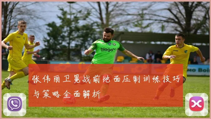 张伟丽卫冕战前地面压制训练技巧与策略全面解析
