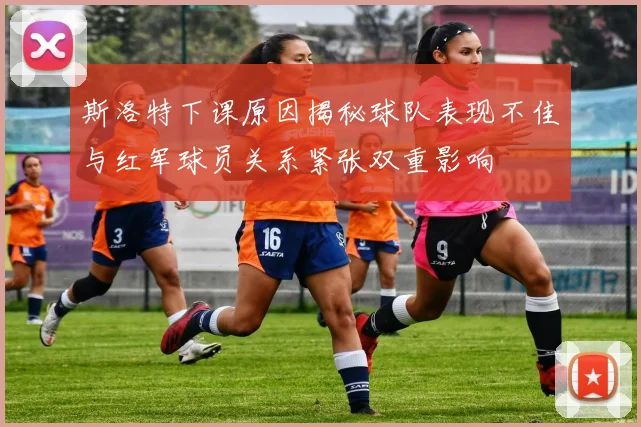斯洛特下课原因揭秘球队表现不佳与红军球员关系紧张双重影响